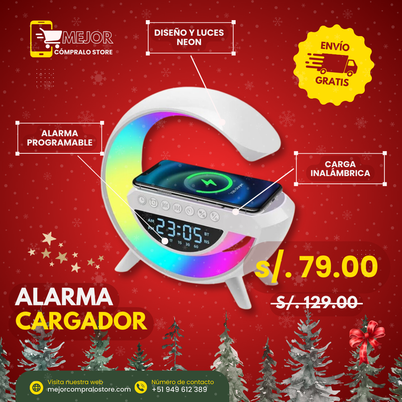 Alarma Cargador